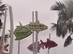 -大梅沙海滨公园