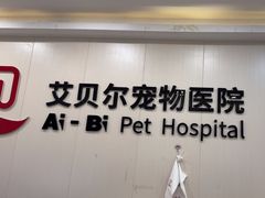 -艾贝尔宠物医院 ·中兽医·宠保定点(北门桥店)