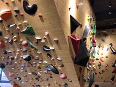 -Upper Climbing Gym 攀岩(华侨城店)