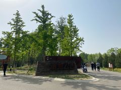 -东郊湿地公园