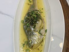 -老绍兴养和饭店(向阳不夜城店)
