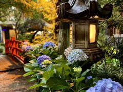 -翠湖里(翠湖南路店)