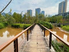 -沐仙湖湿地公园