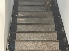 -阿勇鲁肉饭(龙茗路店)