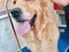 -北京恒爱动物医院(清景园分院)