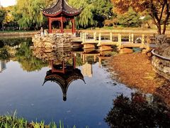 -和平公园