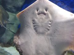 -福州罗源湾海洋世界旅游区