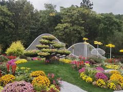 -上海共青森林公园