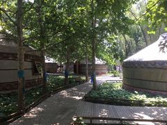 -蒙古大营(朝阳公园店)