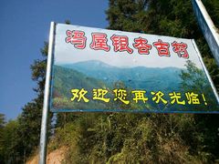 -南雄冯屋银杏山庄