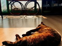 -EATALIA意塔利意式餐厅(鼓楼店)