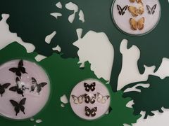 -房山世界地质公园博物馆