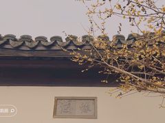 -尚湖风景区