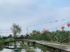 -同銮特种养殖场·龙虾垂钓