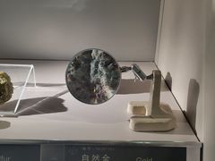 -中国地质博物馆