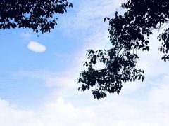 -湖畔居茶楼(湖滨店)
