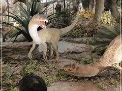 -湖南省地质博物馆