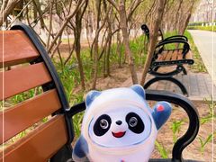 -大兴滨河森林公园