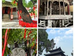 -隆兴寺