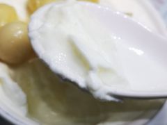 -义顺牛奶公司(新马路老店)