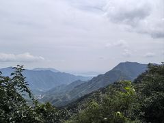 -大岭沟猕猴桃谷风景区