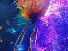 -沈阳海洋探索中心