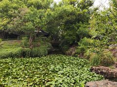 -上海醉白池公园
