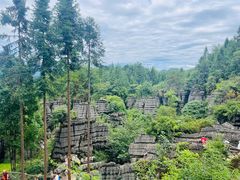 -梭布垭石林景区