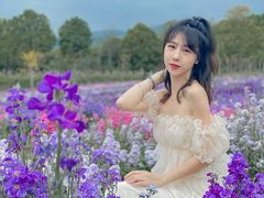 -天适樱花悠乐园