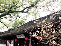 -上海醉白池公园