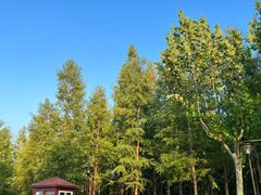 -上海山野camping·户外天幕烧烤·团建拓展营地