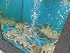 -鲜味食族水产·海鲜餐厅