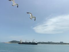 -海驴岛(荣成市)