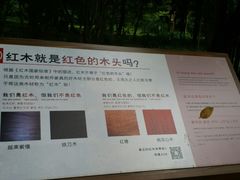 -南宁良凤江国家森林公园