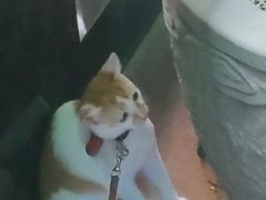 -澜悦汇推拿足道(蓝村路店)