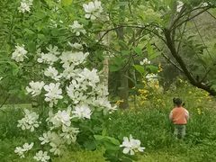 -杭州植物园