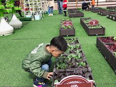 -大族广场Mall&More