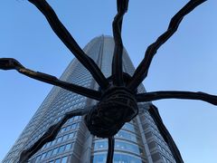 -六本木新城展望台(东京城市景观)