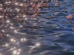-颐和园