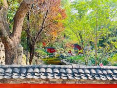 -淄博聊斋城景区