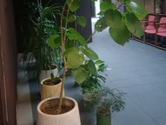 -阿伟海鲜楼·福建菜(涵江店)