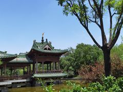 -迎泽公园