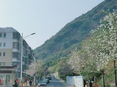 -小南山公园