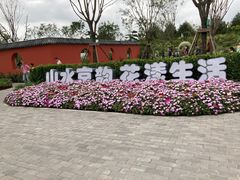 -东平国家森林公园
