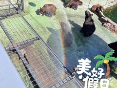 -深圳野生动物园