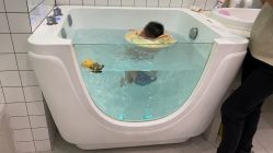 -Pony Baby宝尼婴幼儿游泳SPA馆