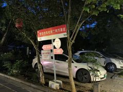 -阿巧茶庄