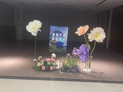 -红星美凯龙(上海沪南店)