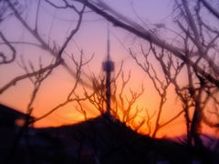 -南山健身公园