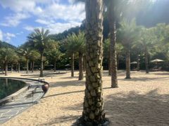 -腾冲洞山温泉村